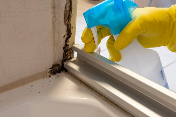 Best Crawl Space Mold Remediation in Brooklawn, NJ